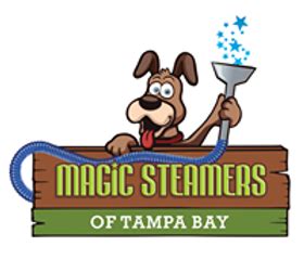 Magic steamers of tampa bay